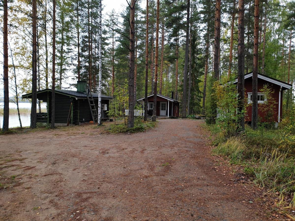 Nestorin Maja Villa Puumala Exterior foto